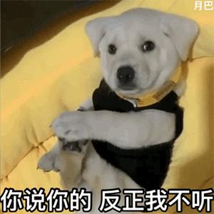 一年涨1000万粉丝的网红,19年瞬间涨粉1000万的网红