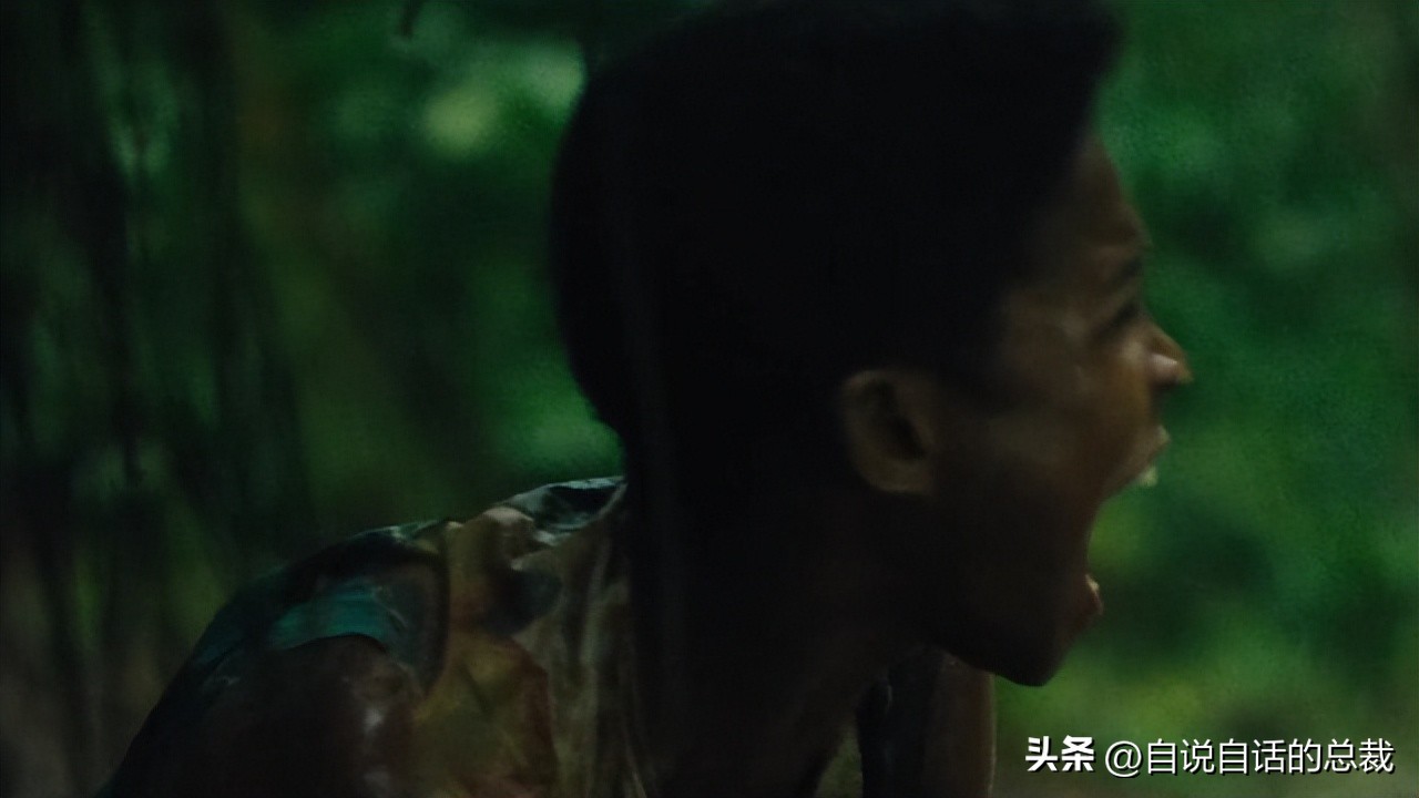 桑巴荣耀足球,桑巴舞者球王贝利