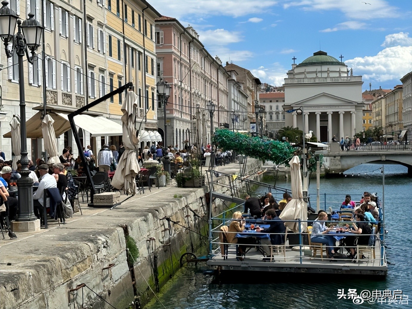 人类吃肉给动物带来的伤害,意大利保护野生动物