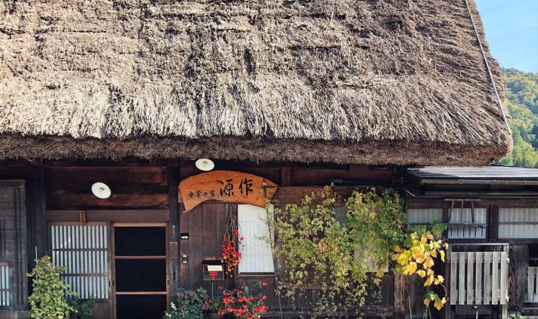日本一个女生自己去旅游,女生日本独自旅行