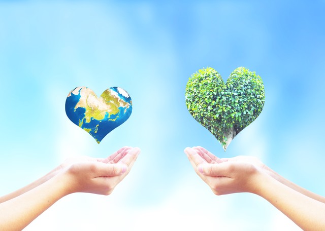 降三高预防血栓脑梗等心脑血管病,降血脂防血栓防斑块常用药