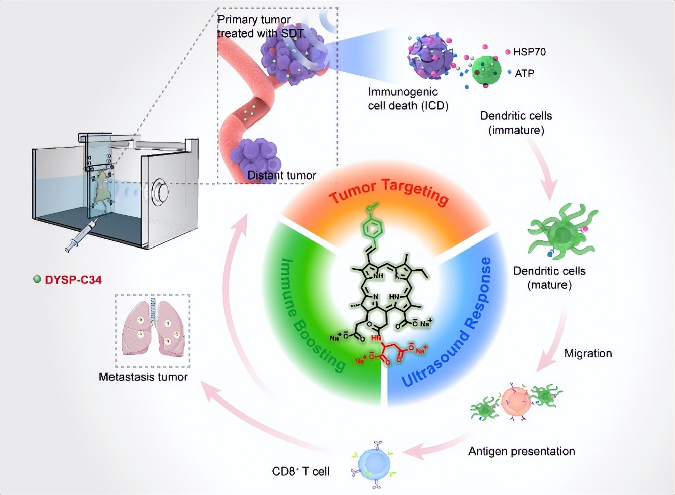 985高校揭牌4个重磅科研平台,辽宁省肿瘤医院有建分院的消息吗