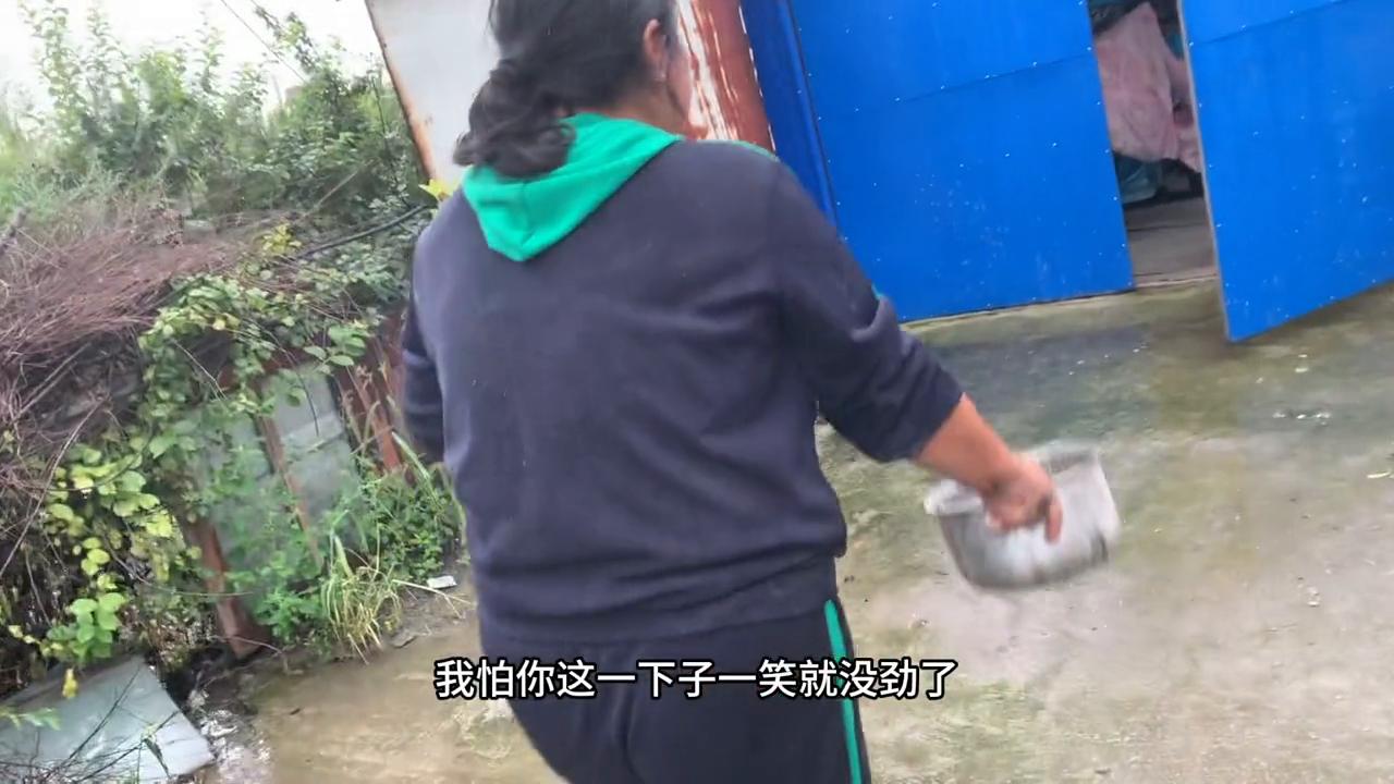 儿童抓鸡摔了一跤原视频,抓小鸡被摔