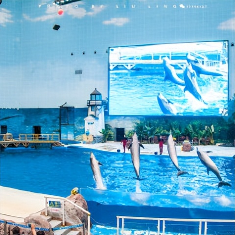 天津是个什么样的城市,天津与南京哪个城市好