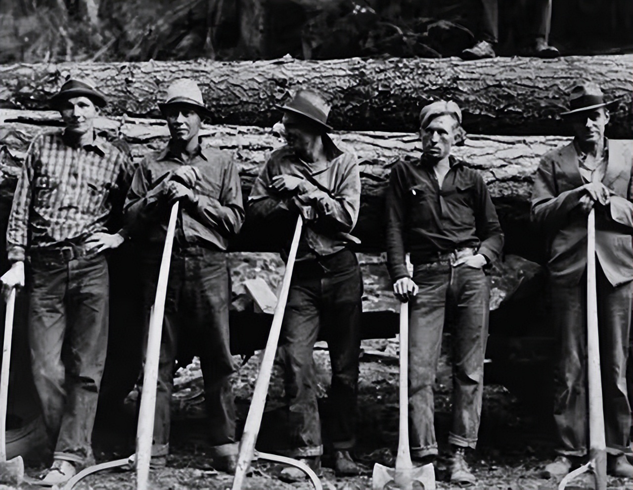 白衬衫牛仔裤永不过时的经典穿搭,fashion2牛仔裤