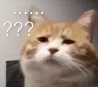 受不了,国综又刷新下限了!