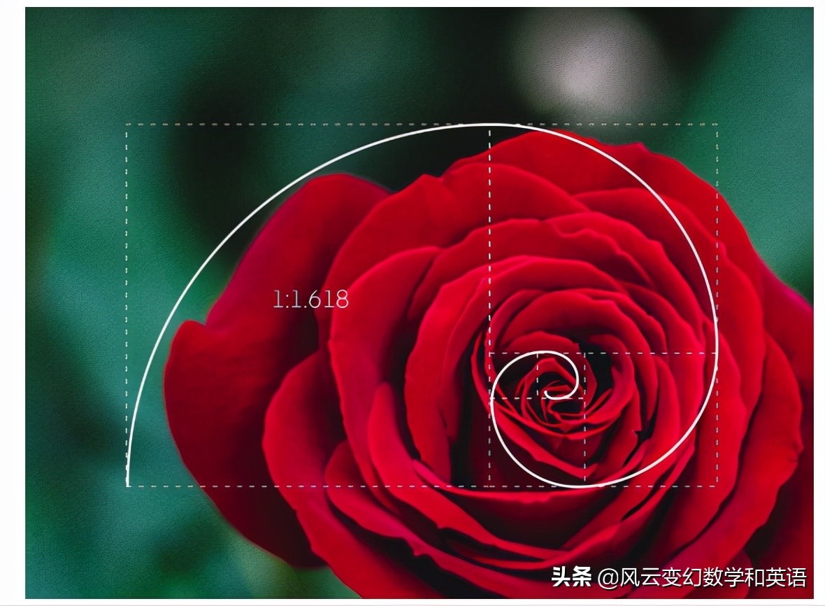 黄金比例分割的身材,黄金比例分割公式