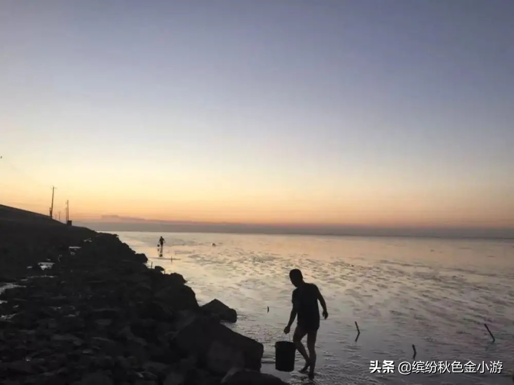 海盐杭州湾抓螃蟹的地方,海盐跨海大桥抓螃蟹位置
