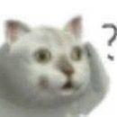 古代人啪啪啪后怎么知道中没中？