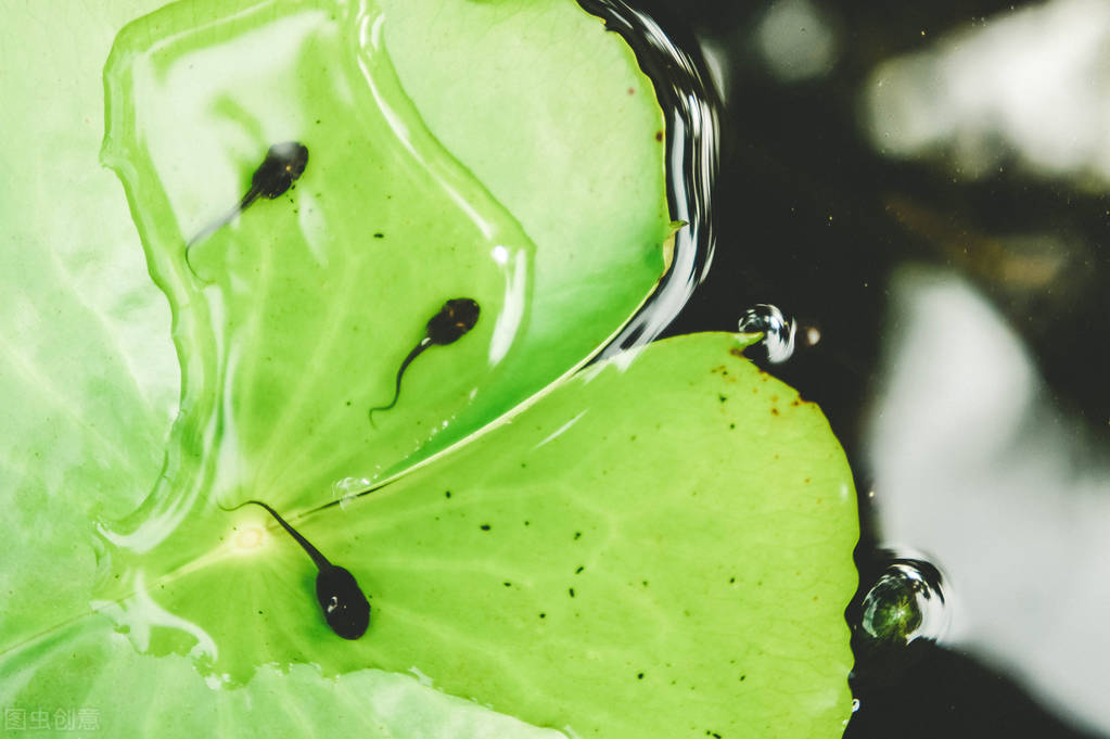 女性对男性的“小蝌蚪过敏”，还有这种事？