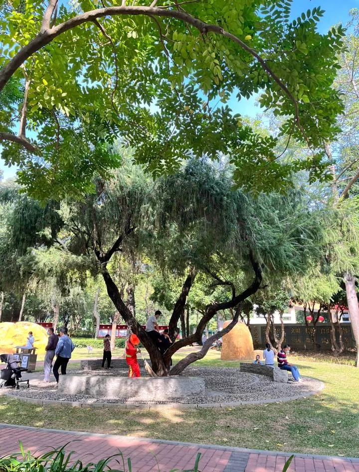 学生旅游基地,学校研学旅游基地