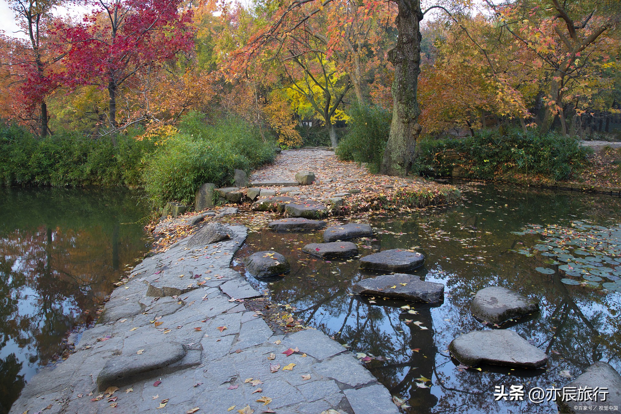 南京秋季最美景点推荐,南京秋季旅游攻略最新