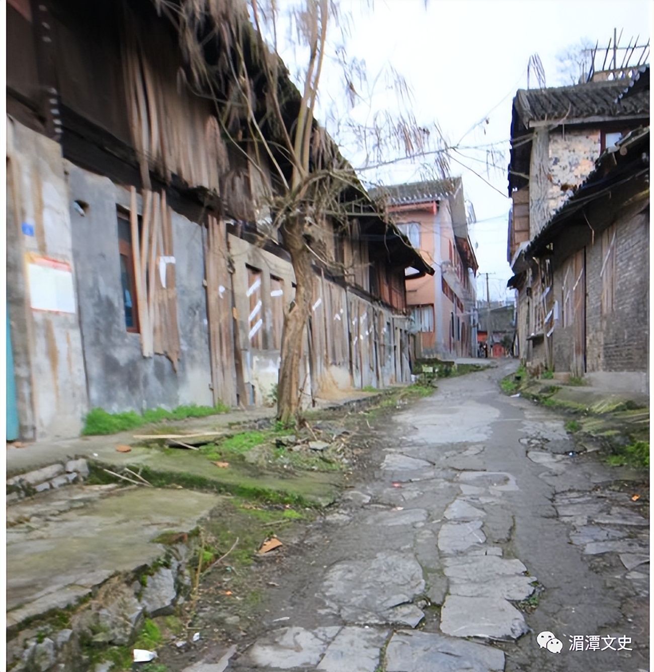 湄潭永兴以前的照片,湄潭茶文化历史