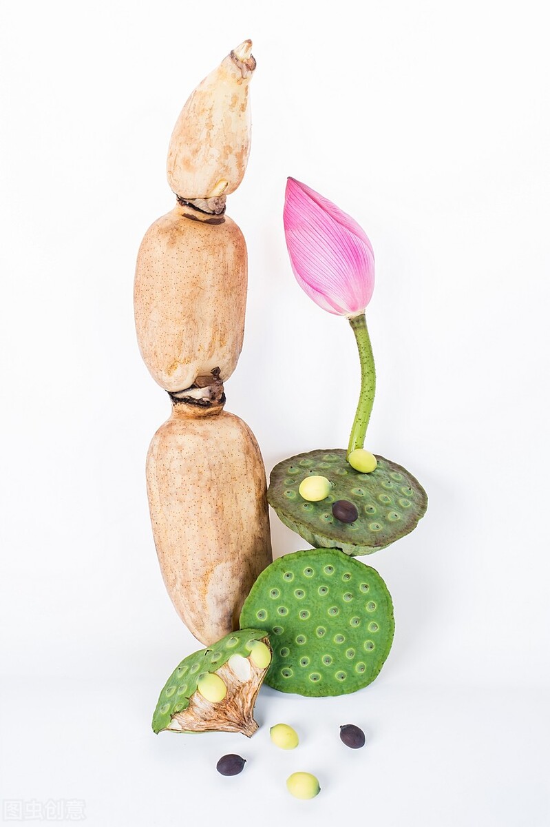 描写莲藕的诗句古诗大全,反映荷花莲藕的诗词