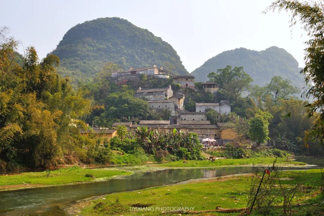 清远鸡什么地方最好,清远鸡冷知识