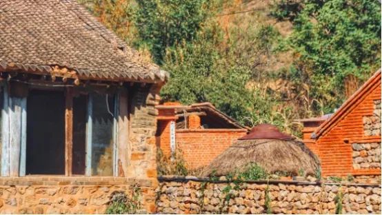 农村未来10年预言,农村未来10年会有什么改变