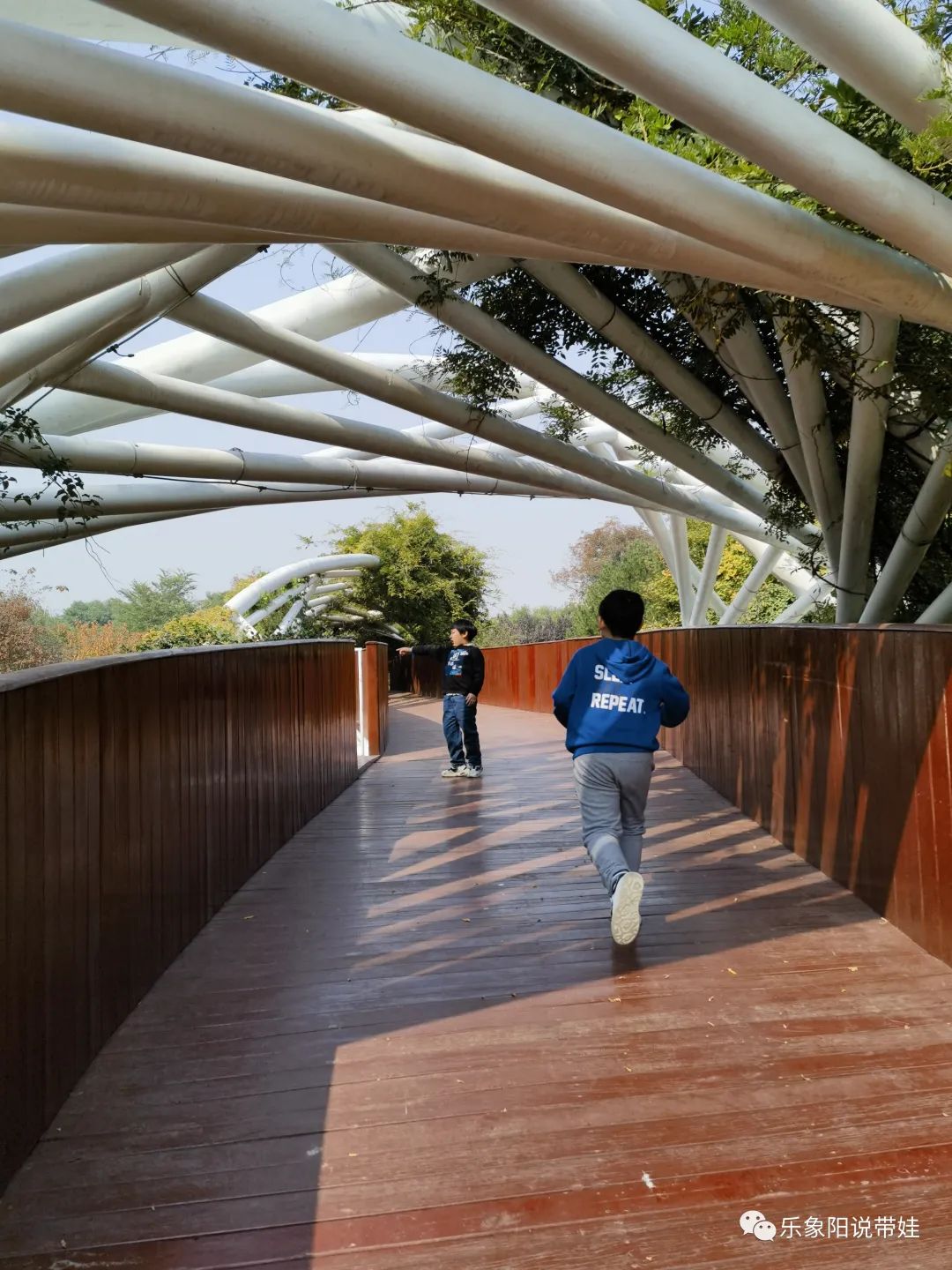 时间都去哪儿了小品完整版,时间都去哪儿了感悟