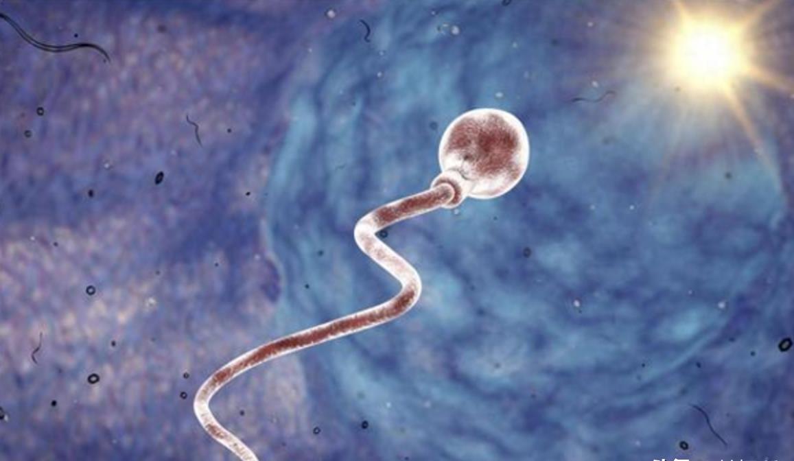 发现精子的科学家,科学家精子运动违背牛顿第三定律