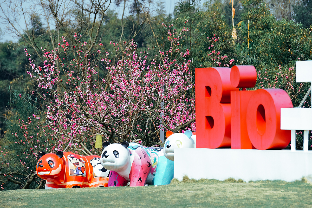 湖光山色美不胜收,湖光山色风景优美