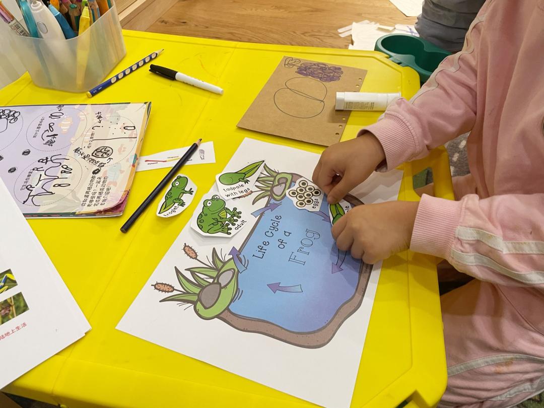 孩子经常提问我该怎么办,孩子问什么都不说怎么沟通