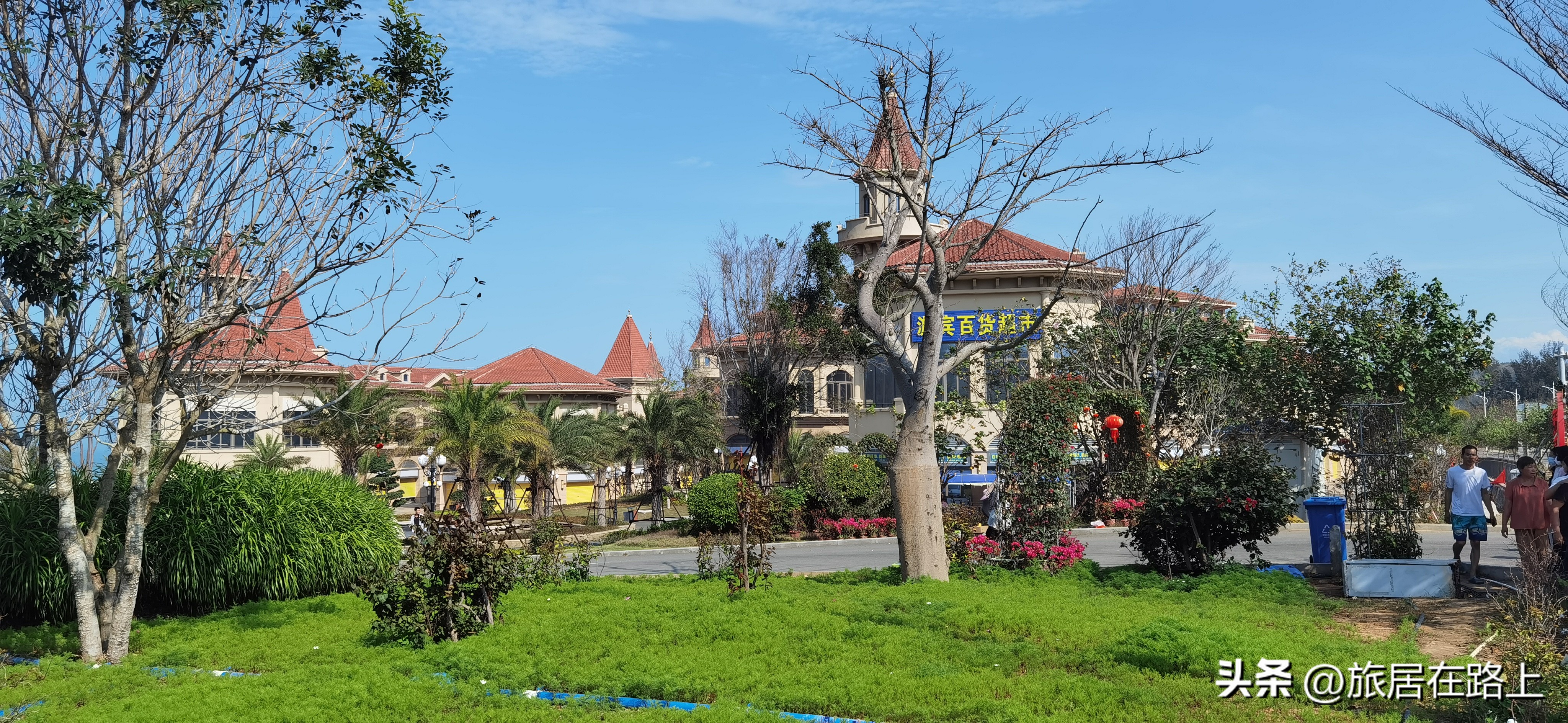 棋子湾上的仙人掌,海南棋子湾旅游攻略一日游