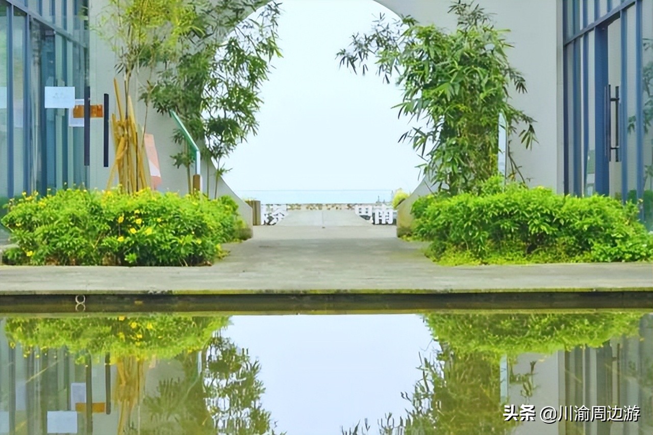 重庆景美人少免门票的好去处,茶园美人美景