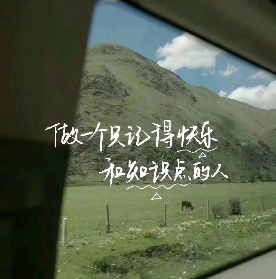 考研网课怎么学,考研网课一般哪里找