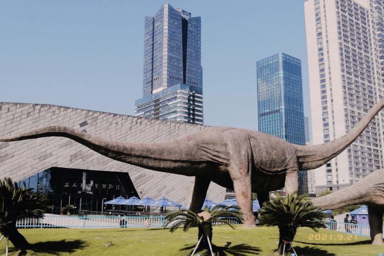 合肥市新桥机场旁边有旅游景点,合肥市好玩的旅游景点