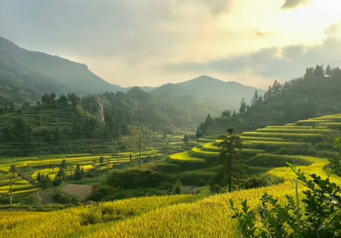 人到中年控制购买欲望,人到中年什么东西都舍不得买