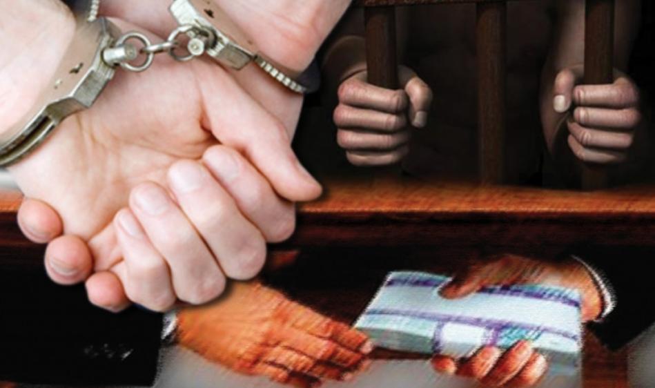 捞人热评,捞人上热搜奔现