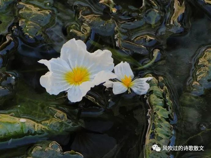 最怕的病是穷病,穷病是一种什么病