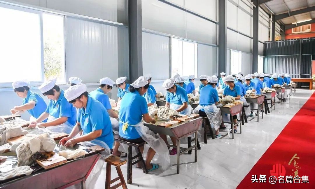 25年坚守假一赔亿诚信品牌金加瀛创始人卢亚波桑蚕丝被的好坏