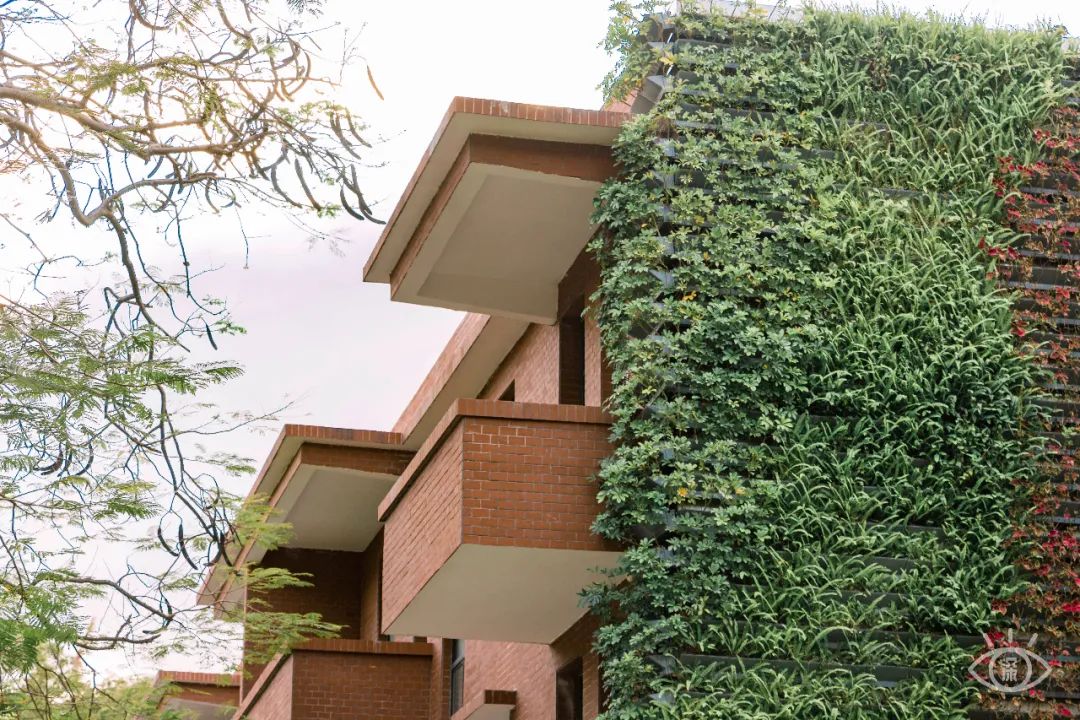 深圳有特色的旅游地,广东深圳特色风景