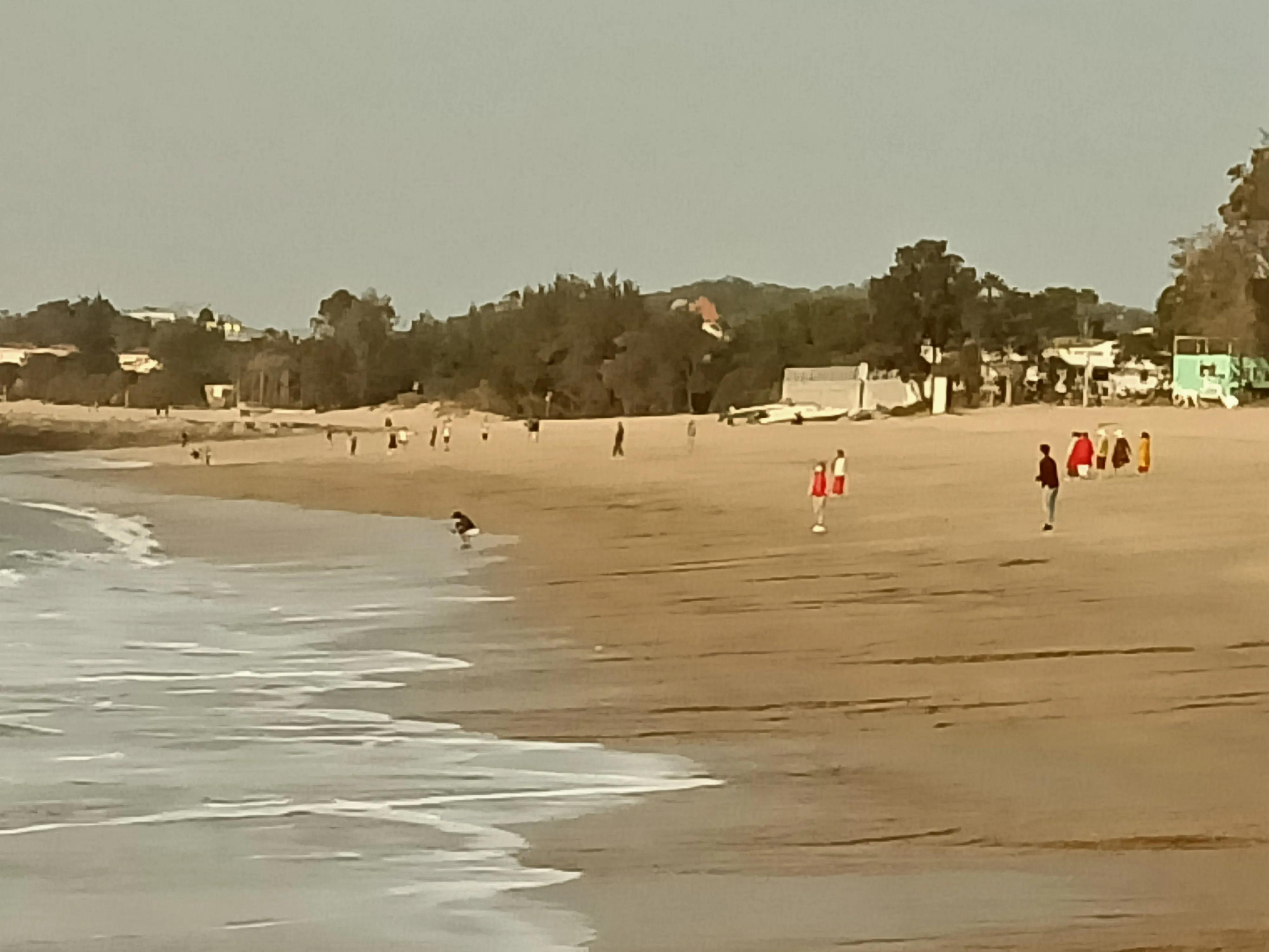 厦门海滨镇旅游攻略,海滨城市厦门简介