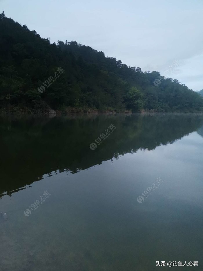 趁休假再来水库，终获大鱼一枚