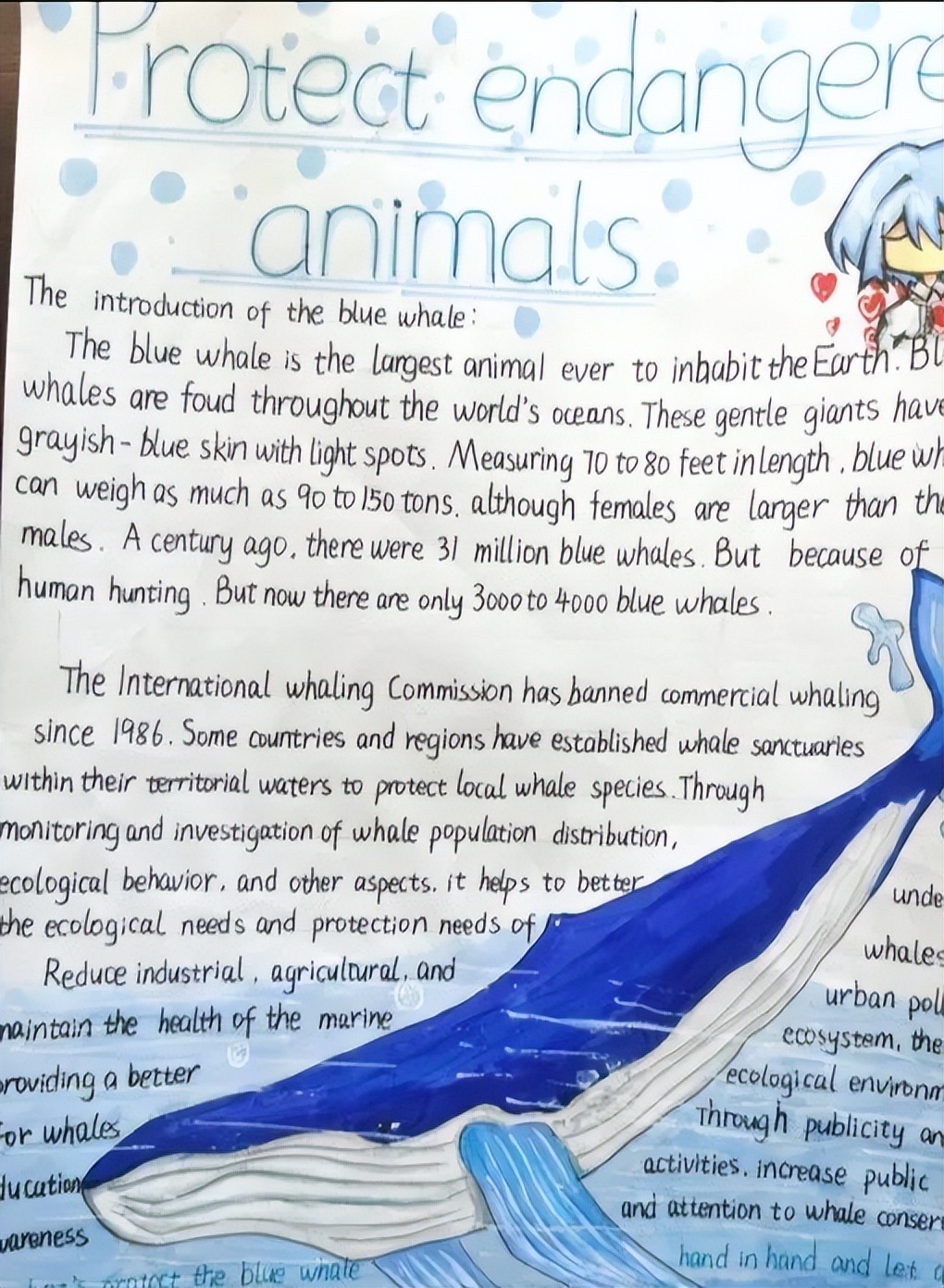 保护动物的英语手抄报六年级图文,英语保护动物手抄报六年级内容