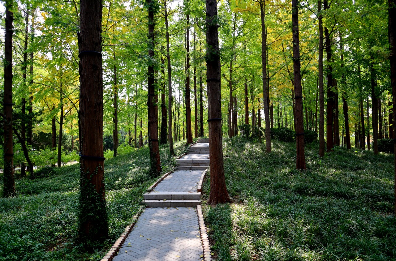 济南赏秋,秋天济南去哪里赏秋最好