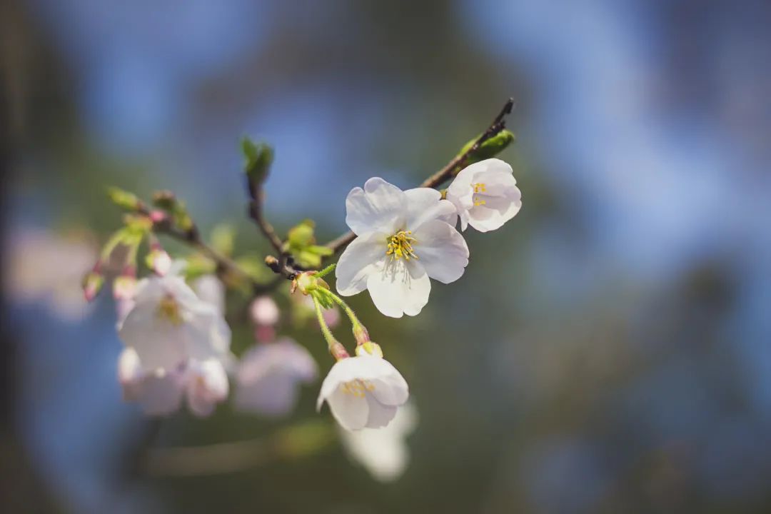 国学名著140句金言值得永久收藏,30部国学名著300句金言