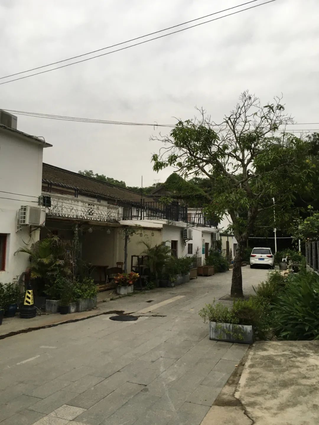 旭光车行雅迪电动车,旭光单车