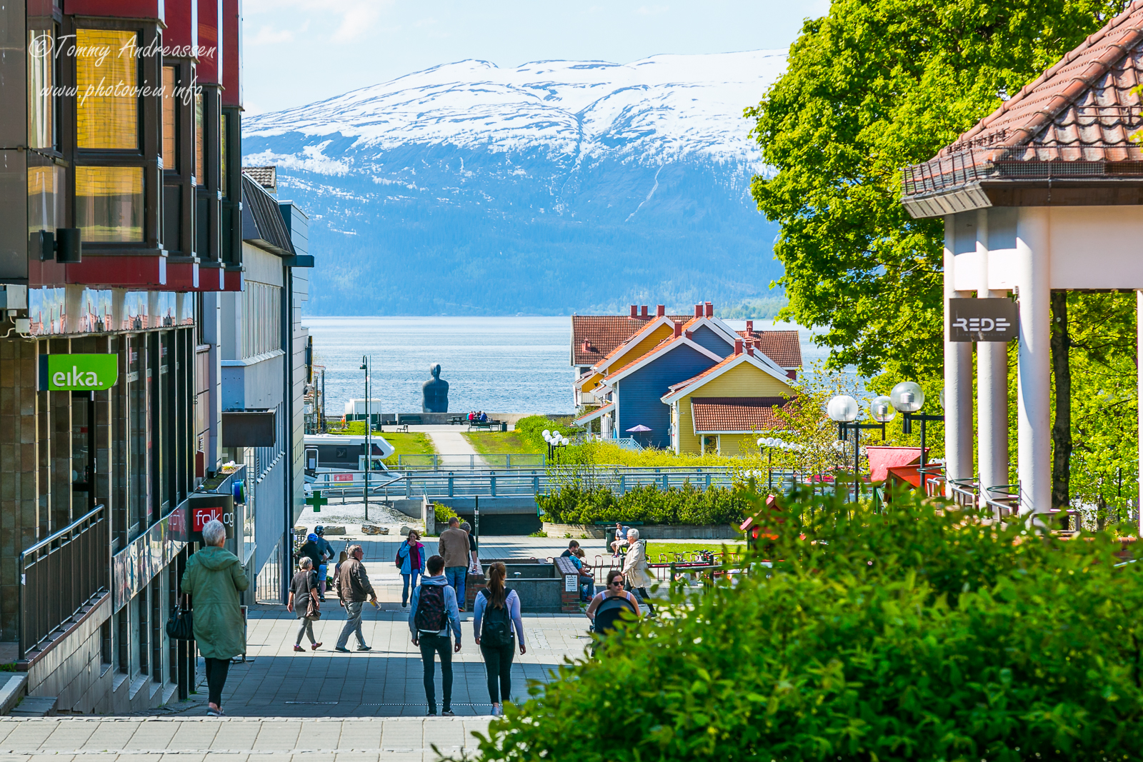 在我当船员的岁月里，我养大了一只海豹，尽管不舍也放它回归大海