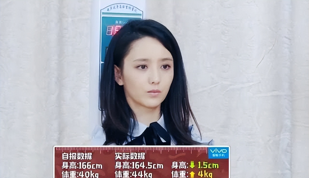 新晋网红电子小猪,网红电子小猪是怎么火的