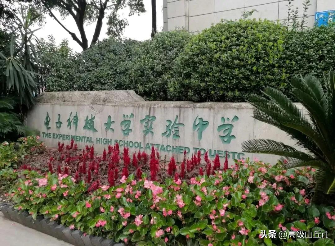 电子科技大学实验中学招生人数,电子科技大学实验中学怎么样