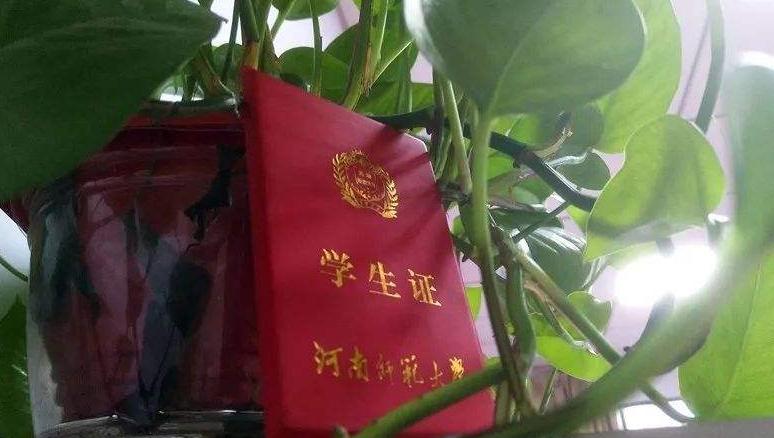 大学生寒假回家，用“学生优惠”更省钱，流程要提前知晓，别错过