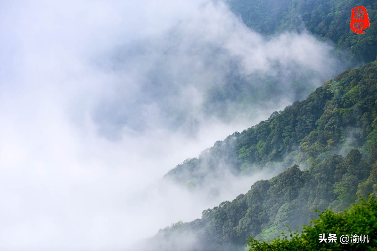 重庆的热门风景好的山,重庆哪座山最适合看城区风景