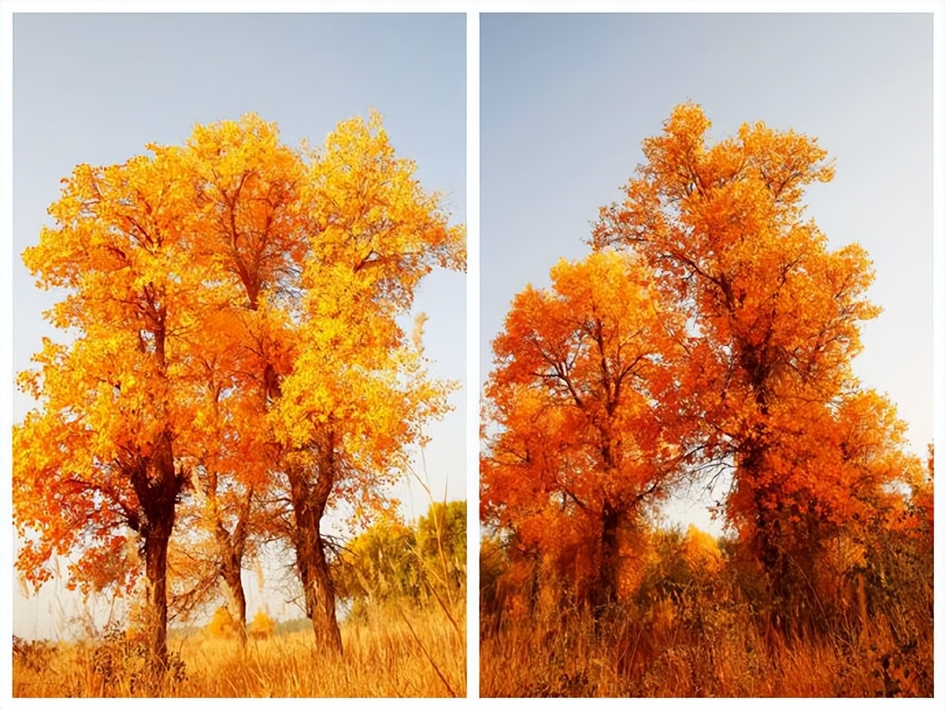 环游新疆15天,环游南疆8天攻略