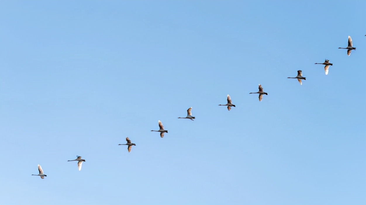 facetoface英文释义,facetoface意思