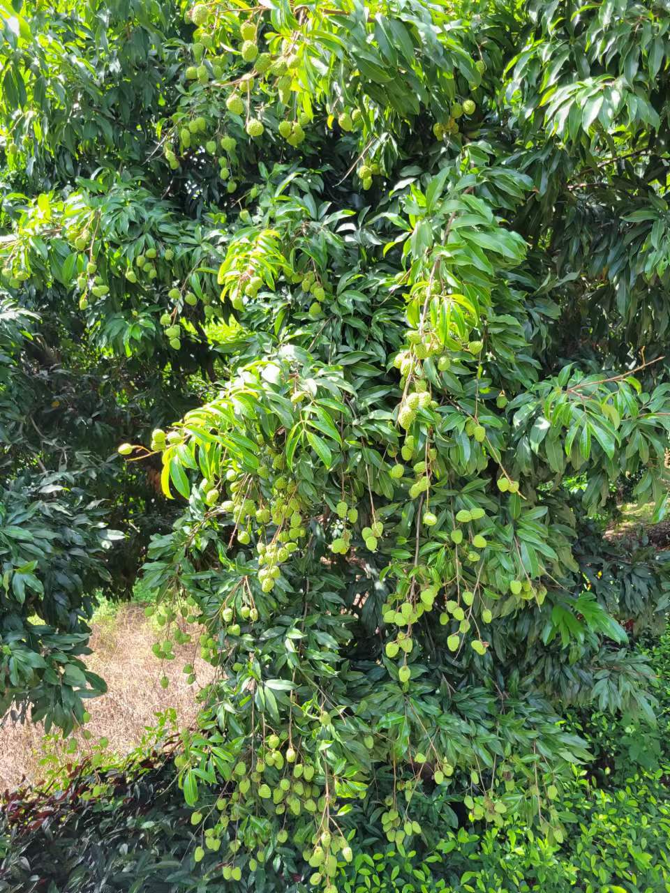 周末邀朋友小聚休闲享受周末,周末三五好友小聚喝茶品美味