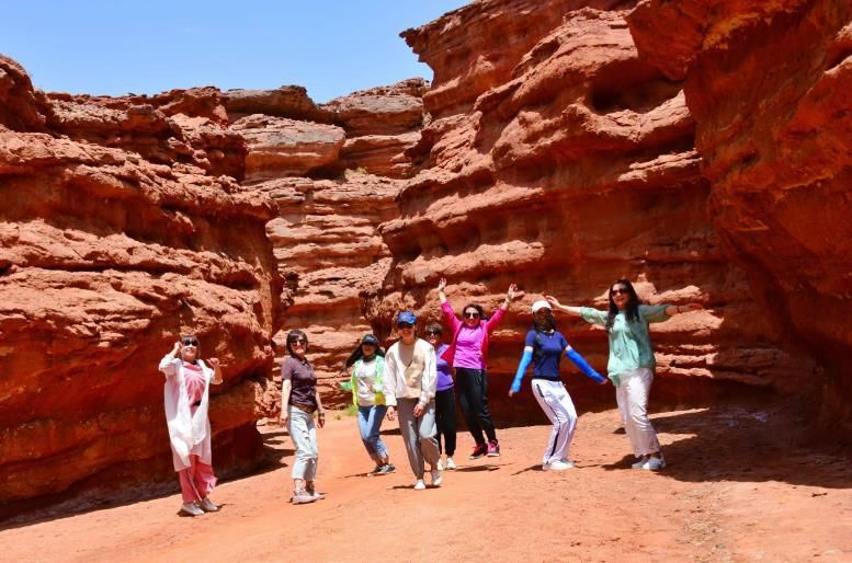 额济纳胡杨林旅游详细攻略,额济纳旗胡杨林游攻略