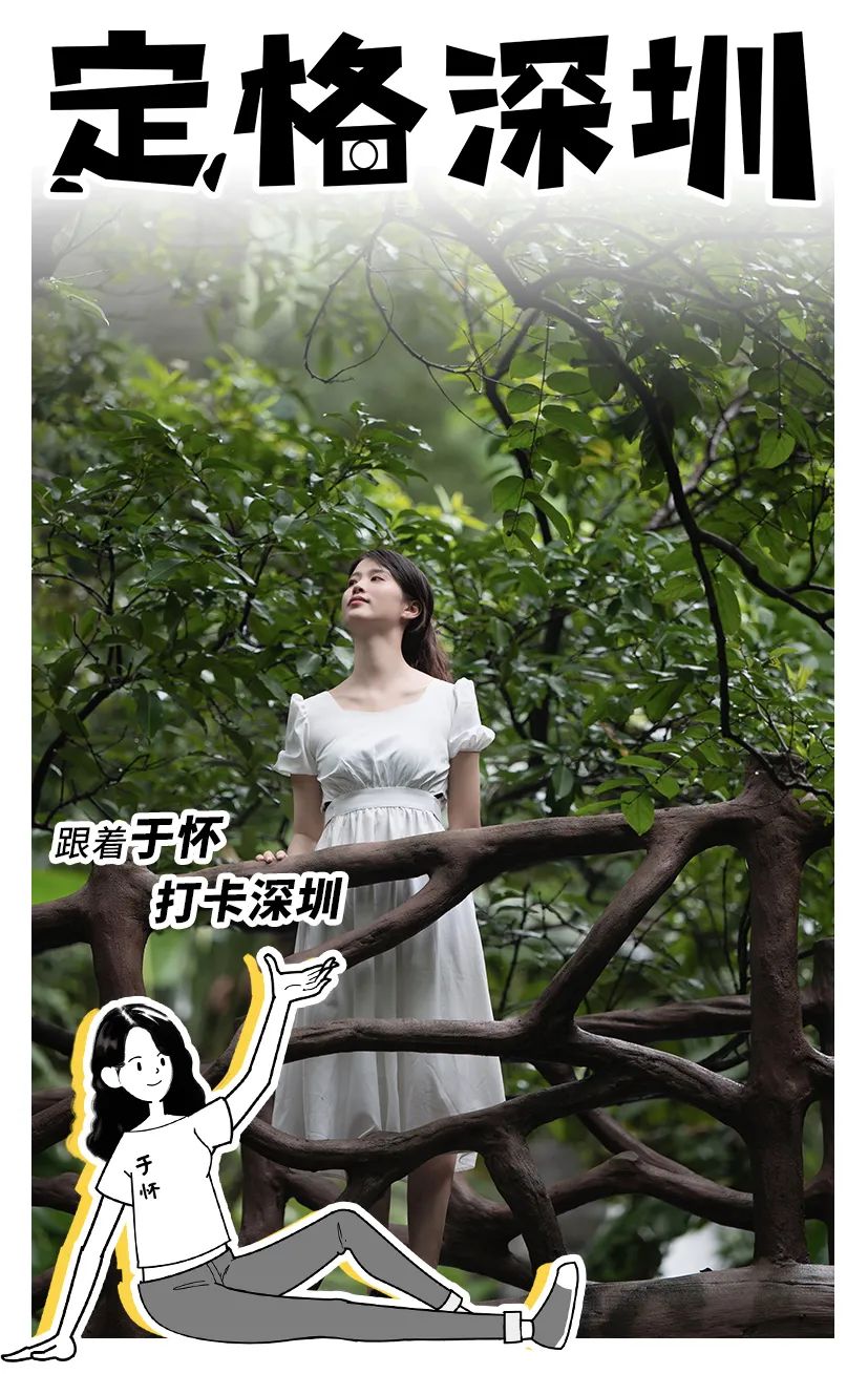 盐田必逛,盐田区必打卡的地方