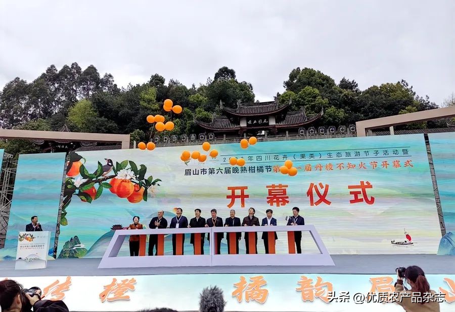 眉山春橘为什么行？